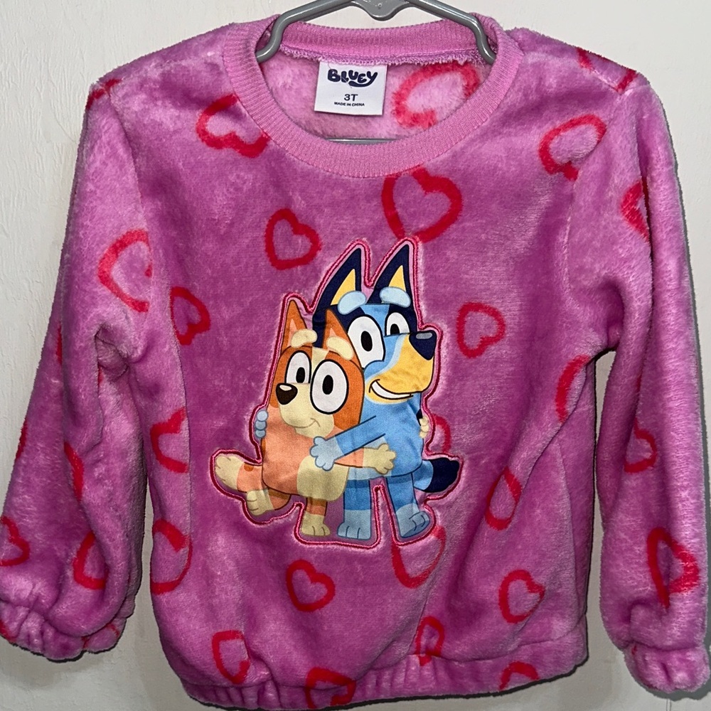 NWOT : Bluey Graphic Sweater. 3T.
